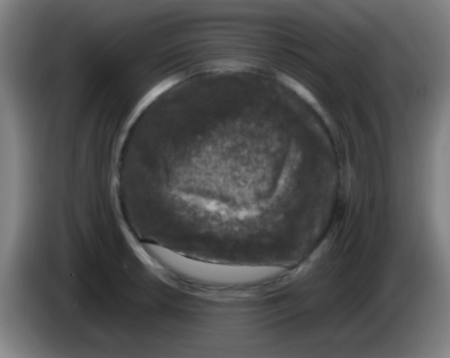 X0000085311042200703302018