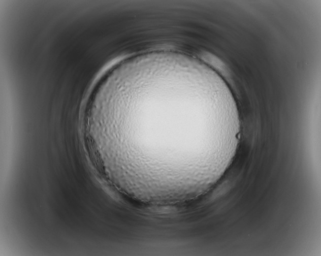 X0000085311043200703302018