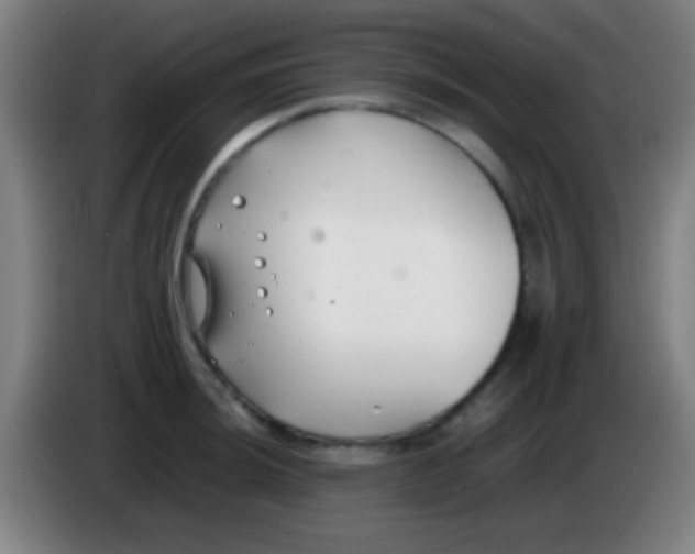 X0000085311044200703302018