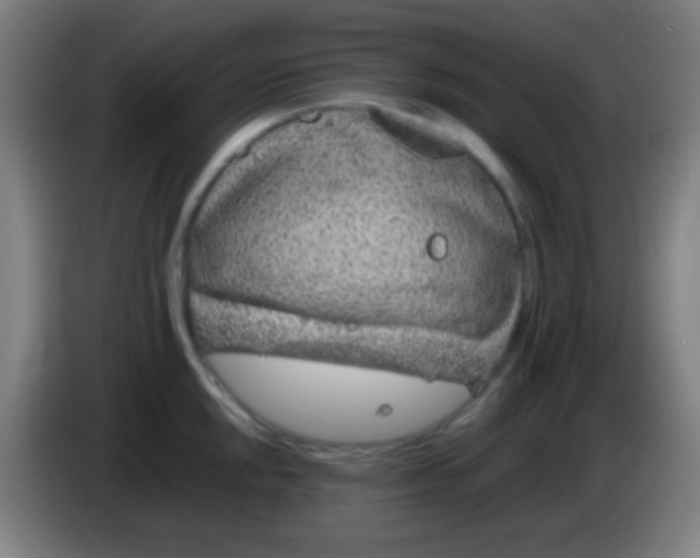 X0000085311048200703302018