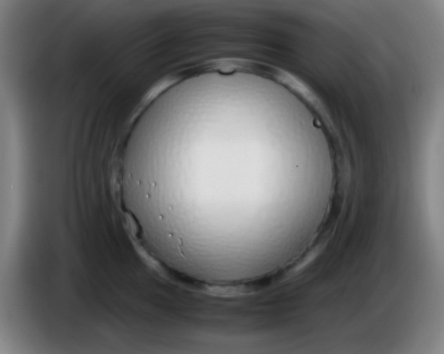 X0000085311049200703302018