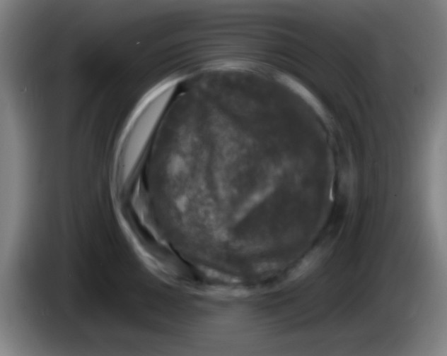 X0000085311050200703302018