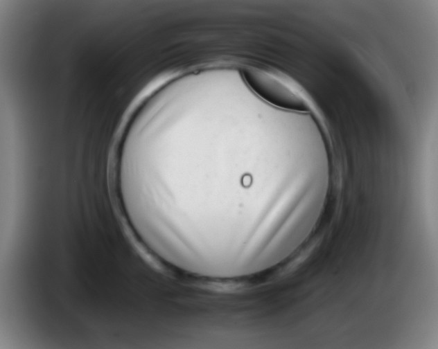 X0000085311053200703302018