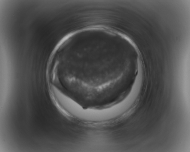 X0000085311054200703302018