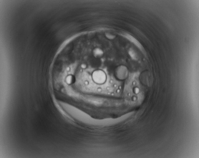 X0000085311055200703302018