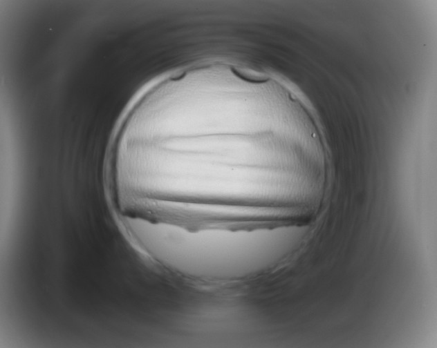 X0000085311056200703302018