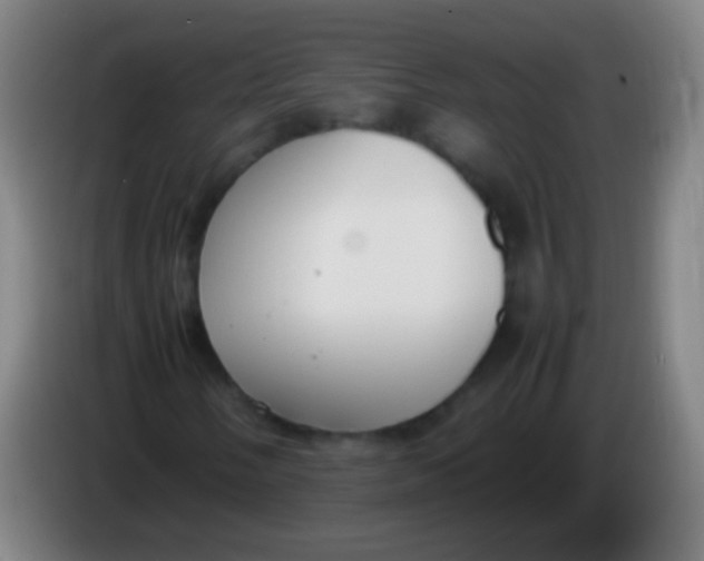 X0000085311058200703302018