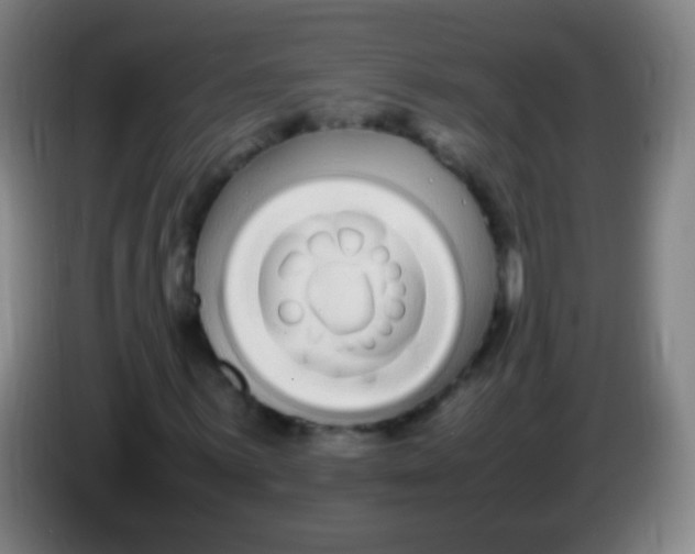 X0000085311059200703302018