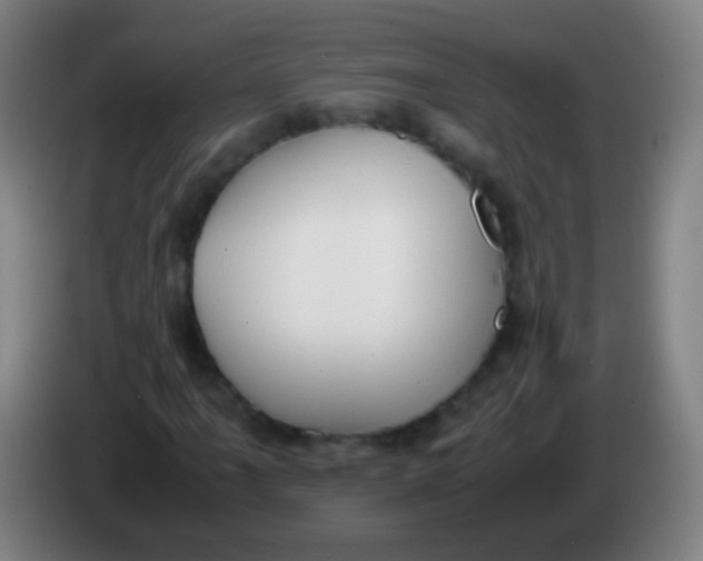 X0000085311061200703302018