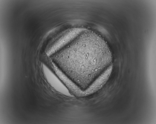 X0000085311063200703302018