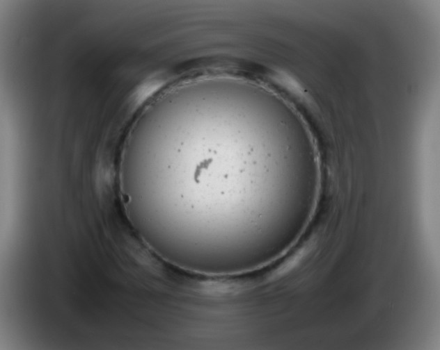 X0000085311065200703302017