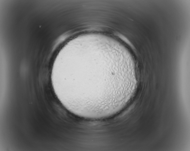 X0000085311067200703302017