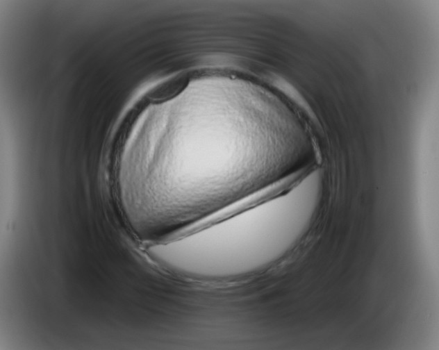 X0000085311068200703302017