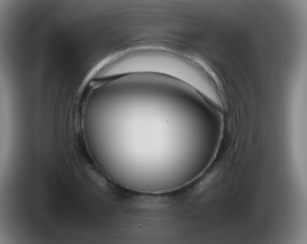 X0000085311069200703302017