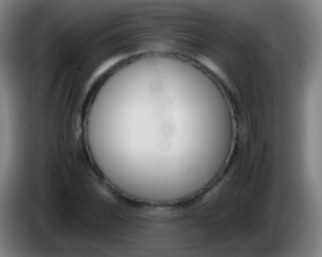 X0000085311070200703302017