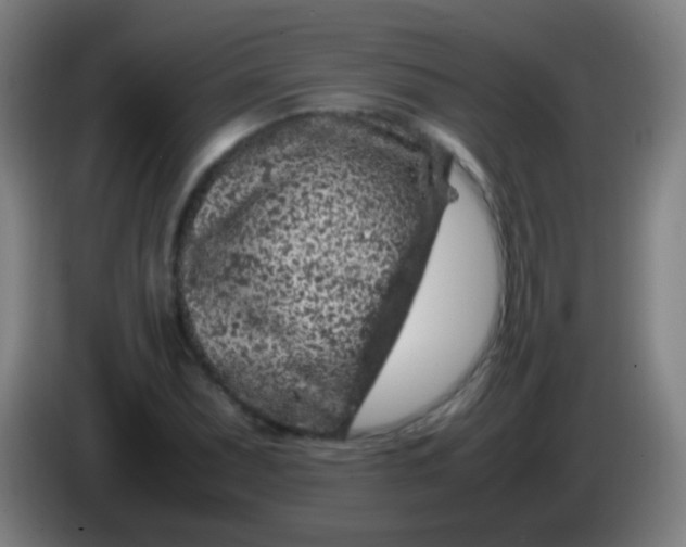 X0000085311071200703302017