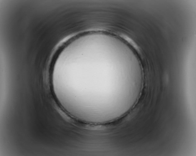 X0000085311072200703302017