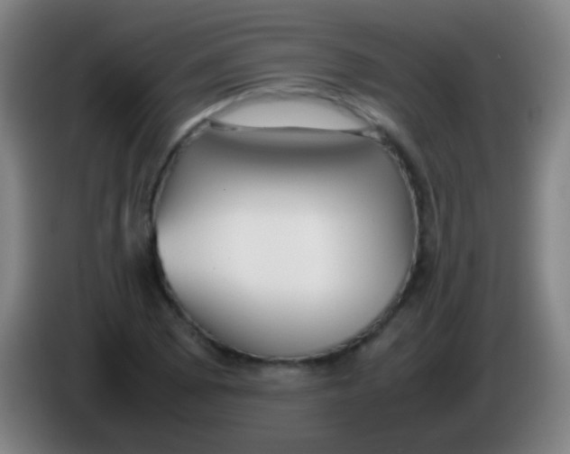 X0000085311073200703302017