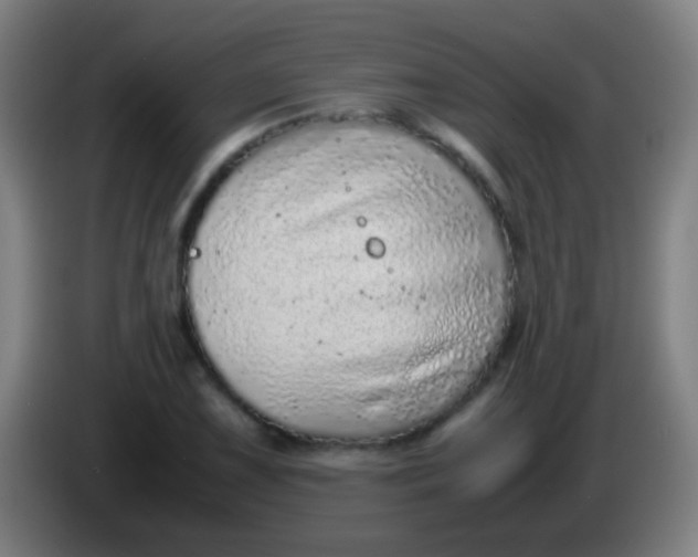 X0000085311075200703302017