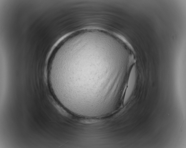 X0000085311076200703302017