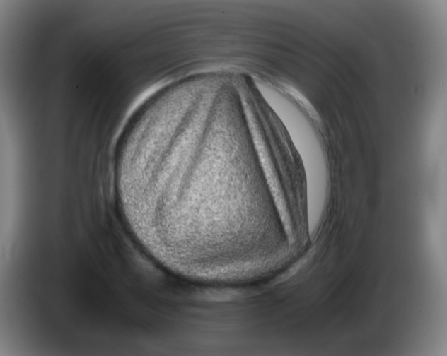 X0000085311079200703302017