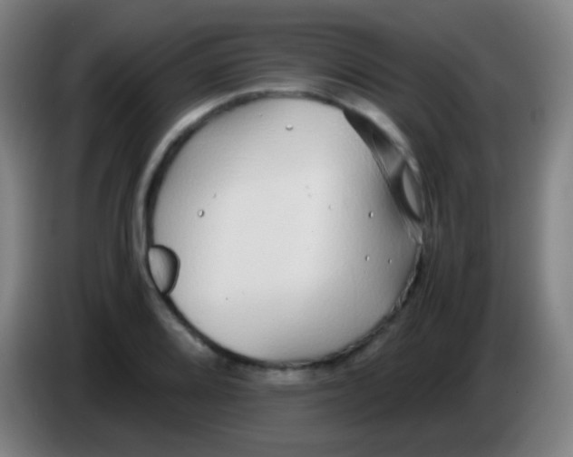 X0000085311080200703302017