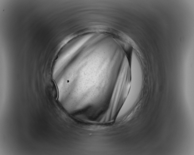 X0000085311081200703302017