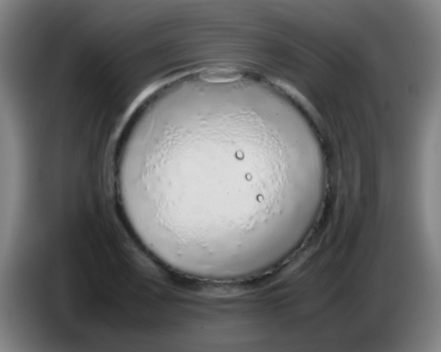 X0000085311083200703302017