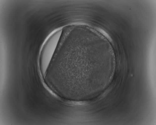 X0000085311084200703302017