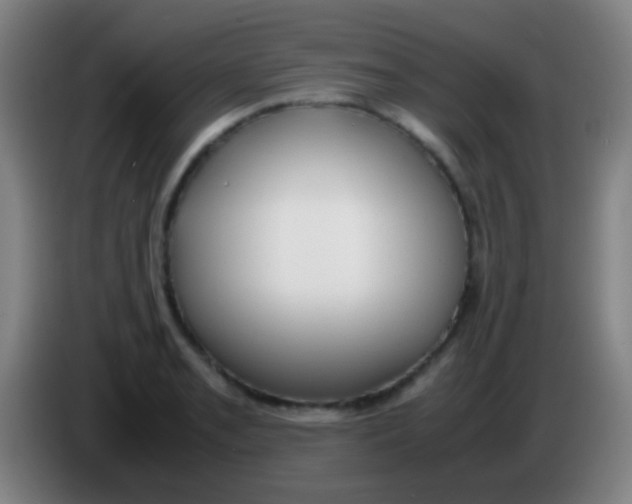 X0000085311085200703302017