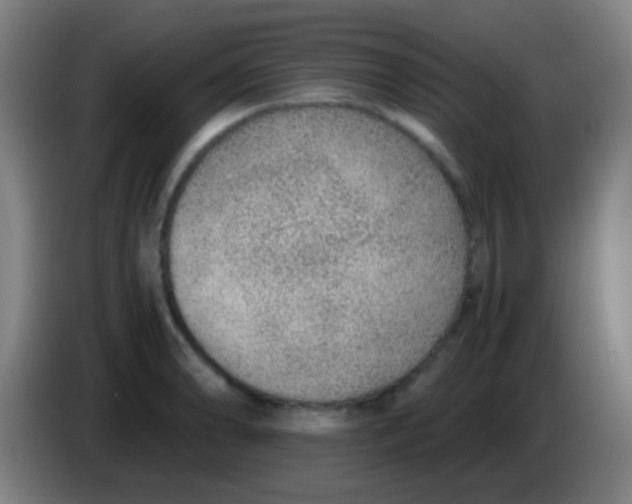 X0000085311086200703302017