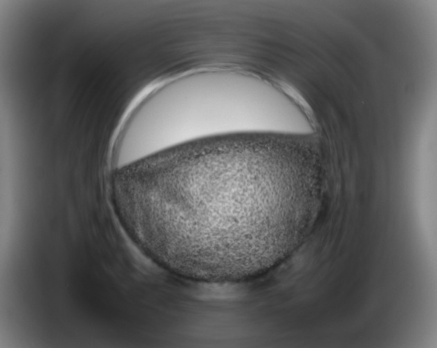 X0000085311087200703302017