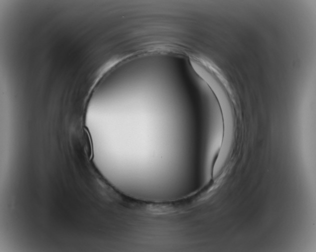 X0000085311089200703302017