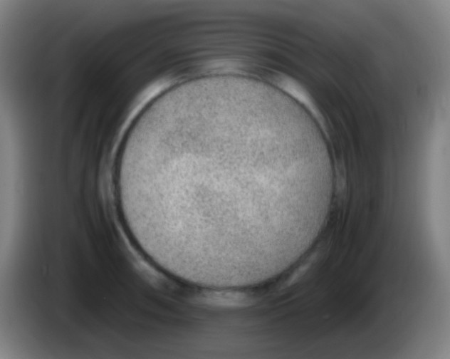 X0000085311090200703302017