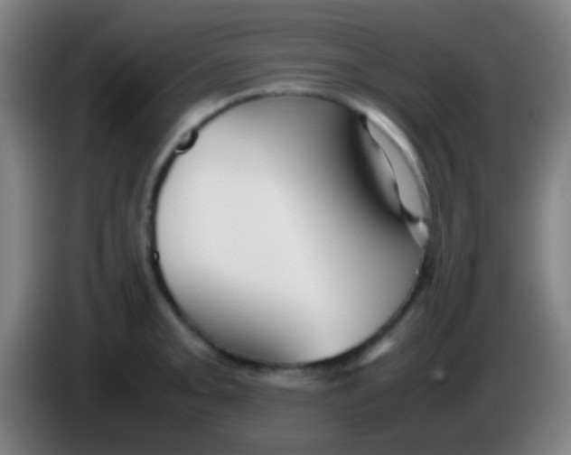 X0000085311093200703302017