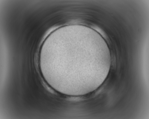 X0000085311094200703302017