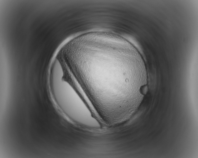 X0000085311096200703302017