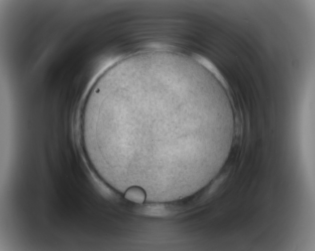 X0000085311098200703302017