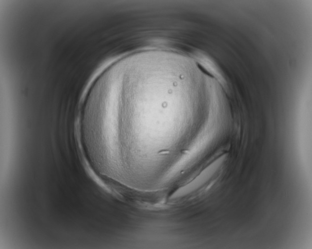 X0000085311100200703302017