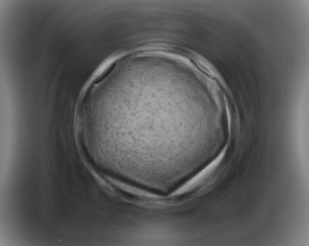 X0000085311101200703302017