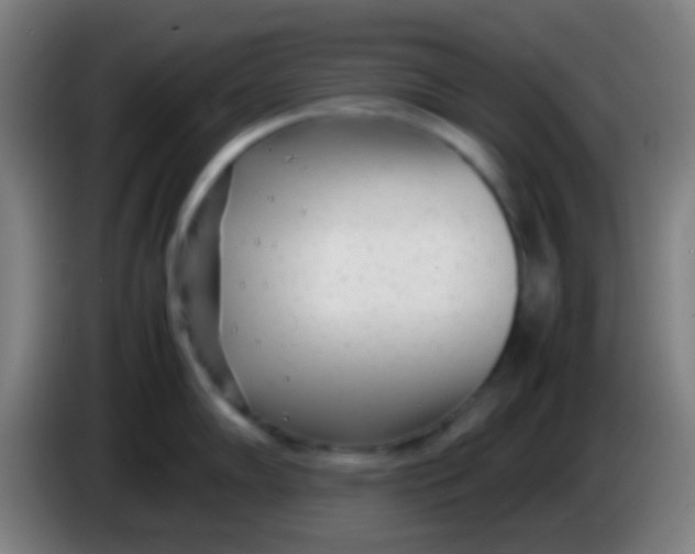 X0000085311102200703302017