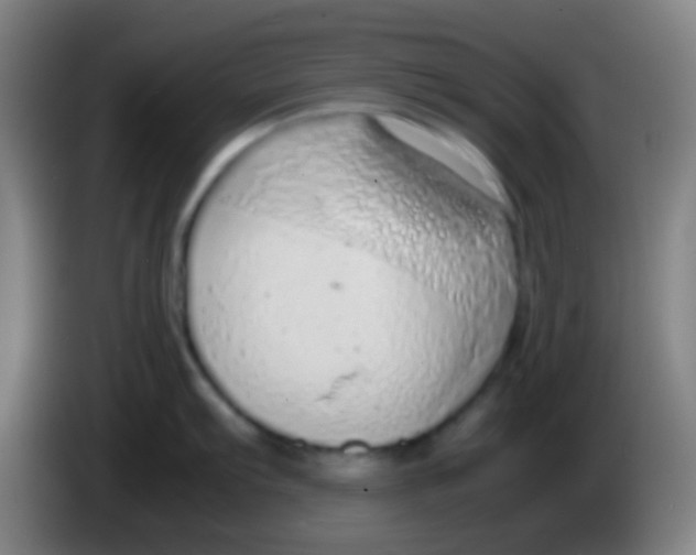 X0000085311103200703302017