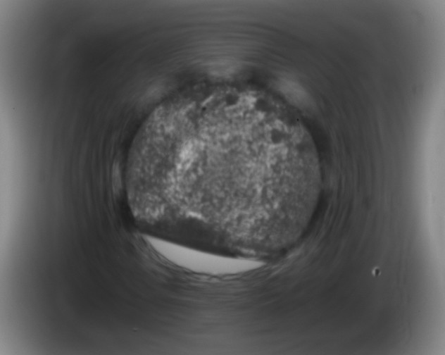 X0000085311106200703302016