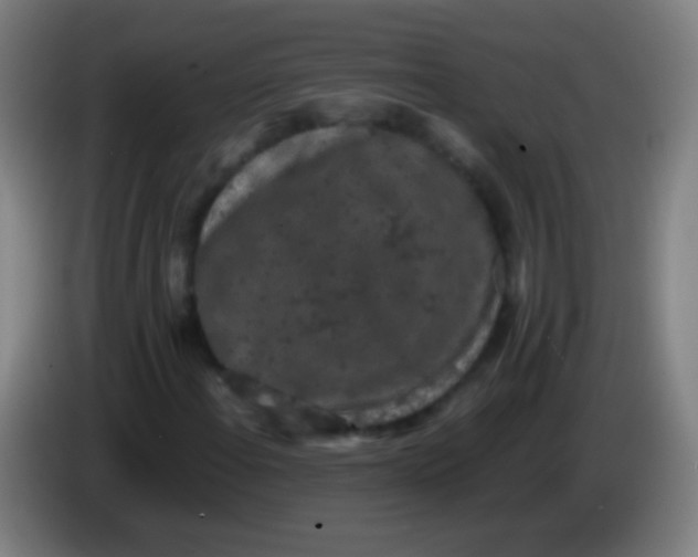 X0000085311108200703302016