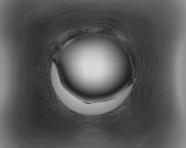 X0000085311109200703302016