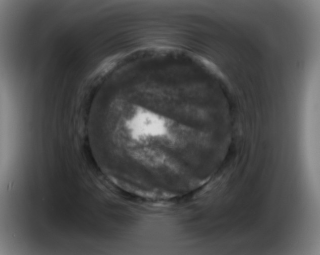 X0000085311110200703302016