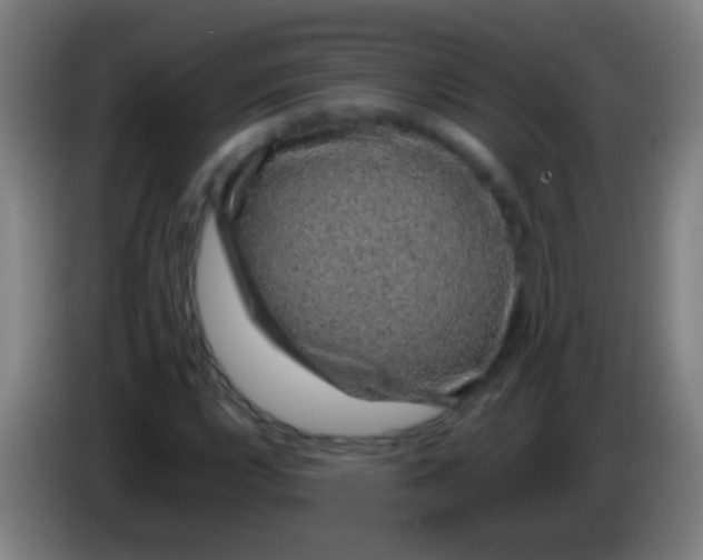 X0000085311112200703302016