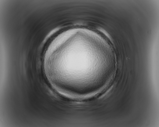 X0000085311115200703302016