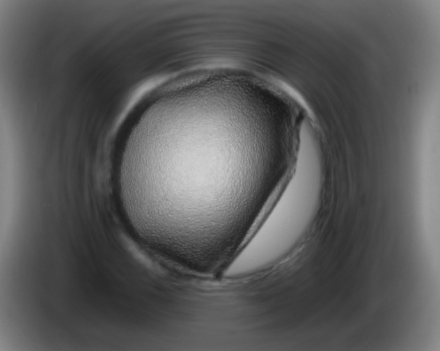 X0000085311116200703302016