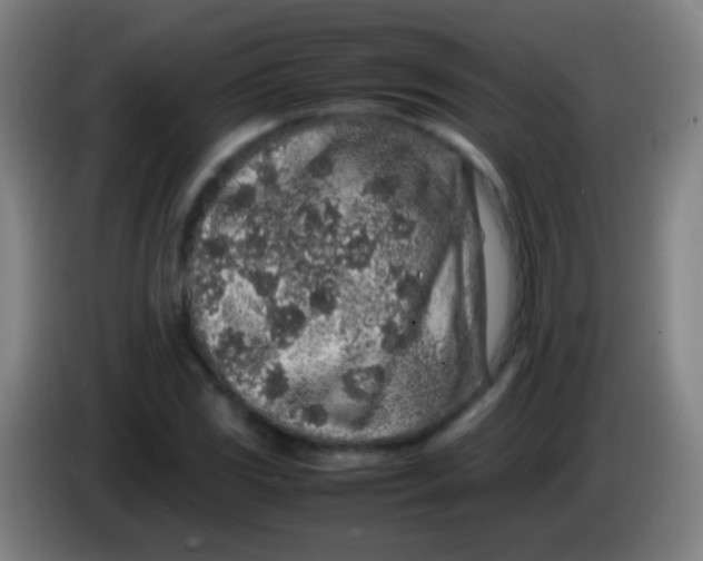 X0000085311117200703302016